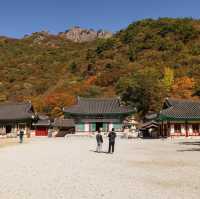 Beautiful Autumn View Of Naejangsa Temple 