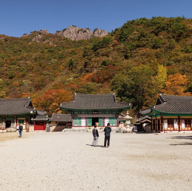 Beautiful Autumn View Of Naejangsa Temple 