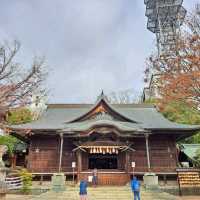 【見どころ】　紅葉が美しい映える神社