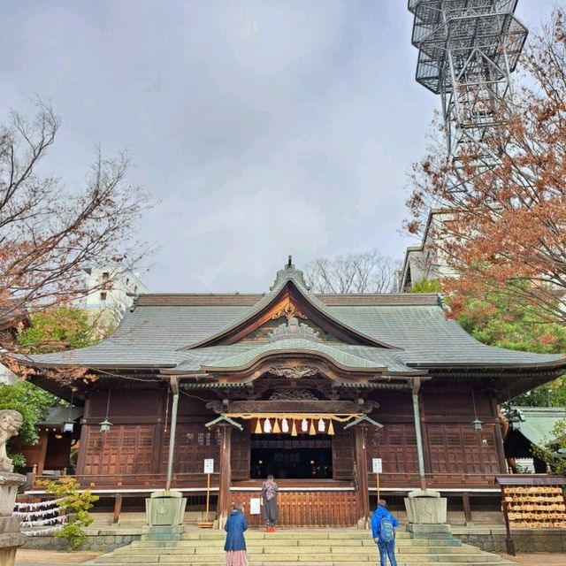 【見どころ】　紅葉が美しい映える神社