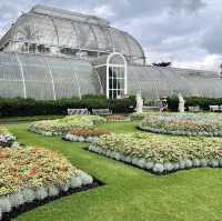 Blooms and Beyond: A Botanical Extravaganza