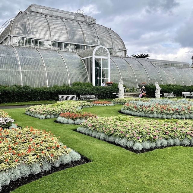 Blooms and Beyond: A Botanical Extravaganza