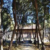 城隍廟 🏯🙌神明庇佑🕯️✨