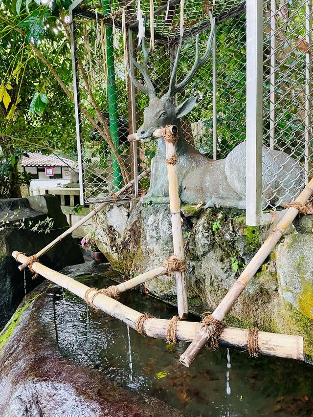 【大阪府/枚岡神社】境内に鹿がいる「元春日」