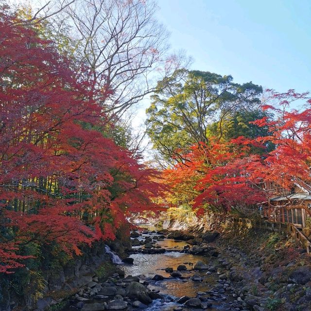 autumn vibes at Shuzenji Temple