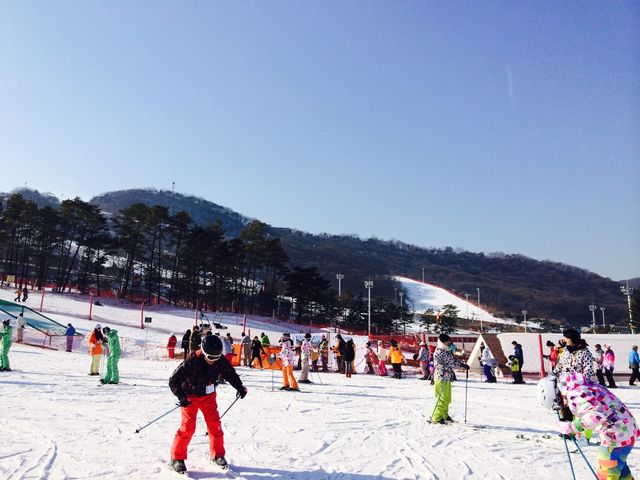 ⛷️熱愛冬季運動🇰🇷Jisan Forest Resort 지산포레스트리조트