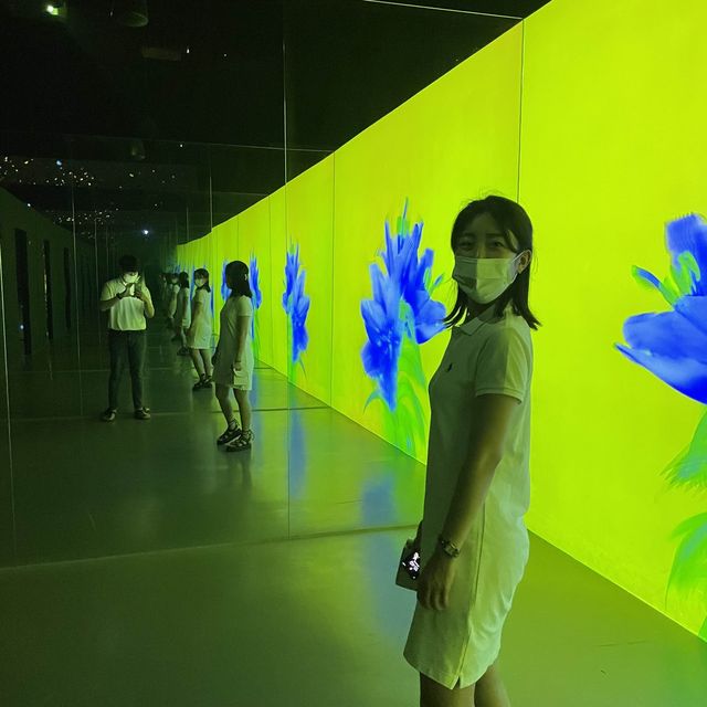 빛으로보는 박물관 “아르떼뮤엄 제주”