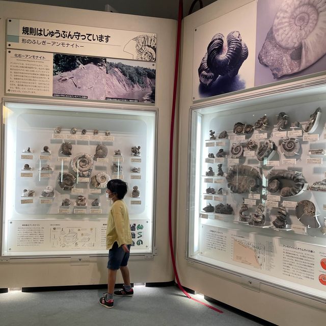 【箱根】神奈川県立生命の星・地球博物館