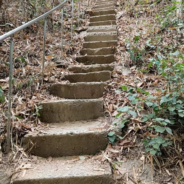 高雄高崎山