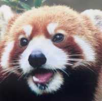 重返18歲:令人意猶未盡的地方-海洋公園