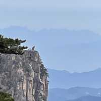 黄山を見ずして山を見たと言うなかれ。高圧的ですが納得です