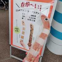 京都水族館といえばオオサンショウウオ