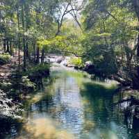 สวนรุกขชาติมวกเหล็ก Muak Lek Arboretum 