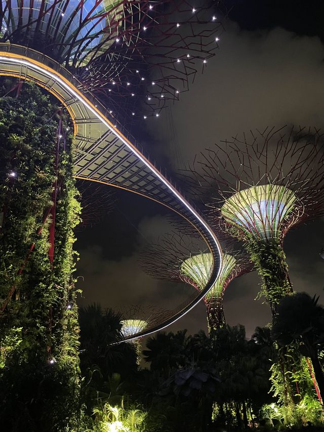 新加坡 | 必去睇夜景gardens by the bay