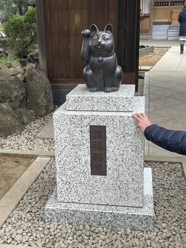 🇯🇵東京🫶🏻愛貓之人必去地方🐱❤️豪德寺📸