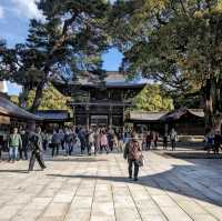 Meiji Jingu, Shinto Shrine