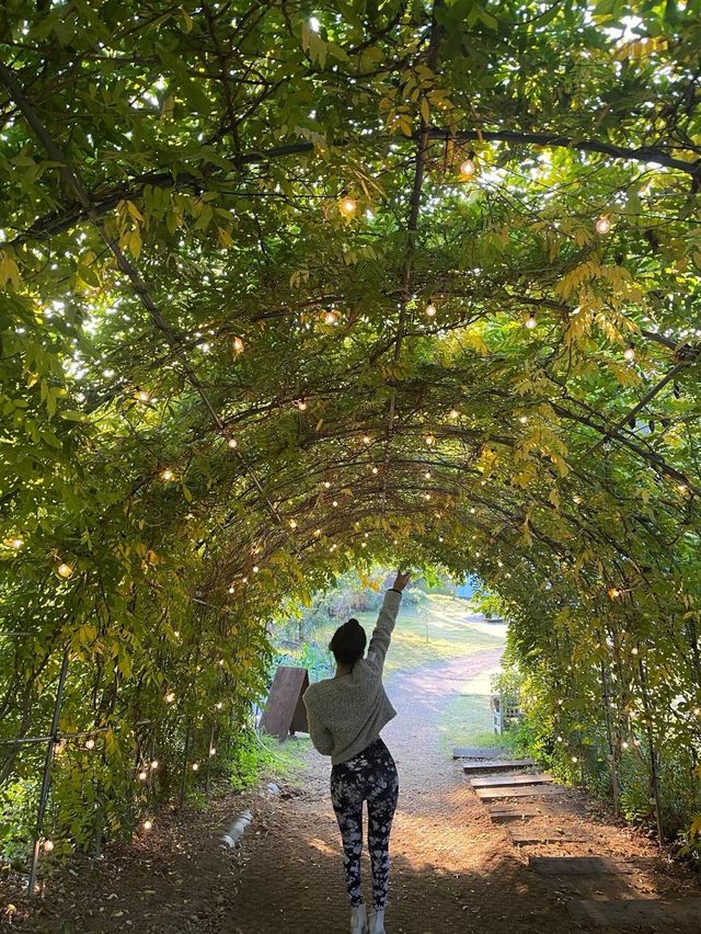힐링여행 즐기기 in ‘양평’ 🍃