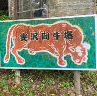 隠岐の島　闘牛場
