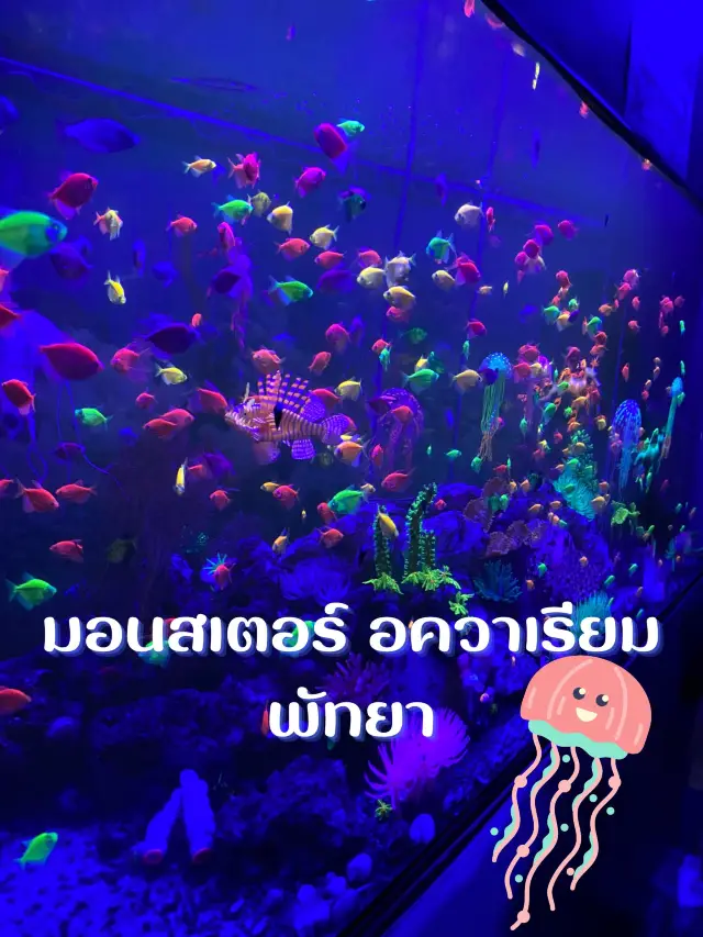 มอนสเตอร์ อควาเรียม พัทยา 🐬🐳🐠🐟🐋🐡🦈