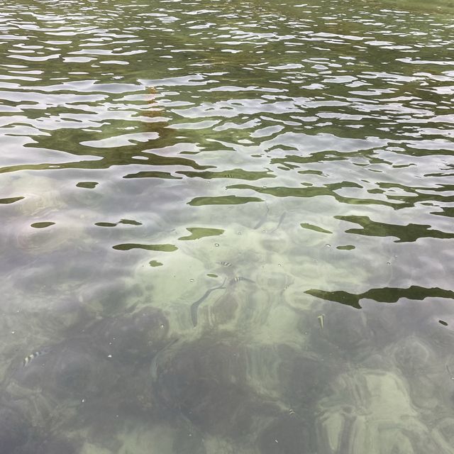 丹島浮潛之旅🤿