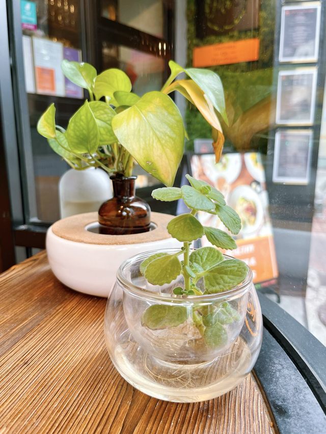 中環健康素食西餐廳 🍽️🌿 中環健康素食西餐廳 🍽️🌿