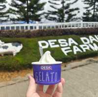 The joyful Desa Dairy Farm!