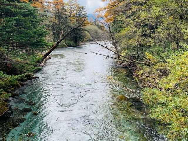 Mùa thu Kamikochi,nagano,japan