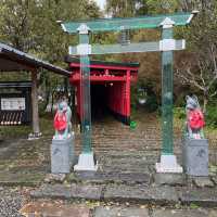 魅力たっぷり、鹿児島‼️