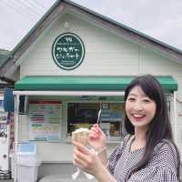 マルガージェラート本店🍦【能登】