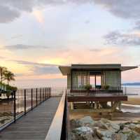Cove55