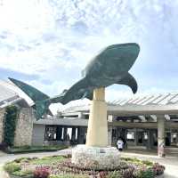 沖繩海洋博公園-十多個景點玩足全日