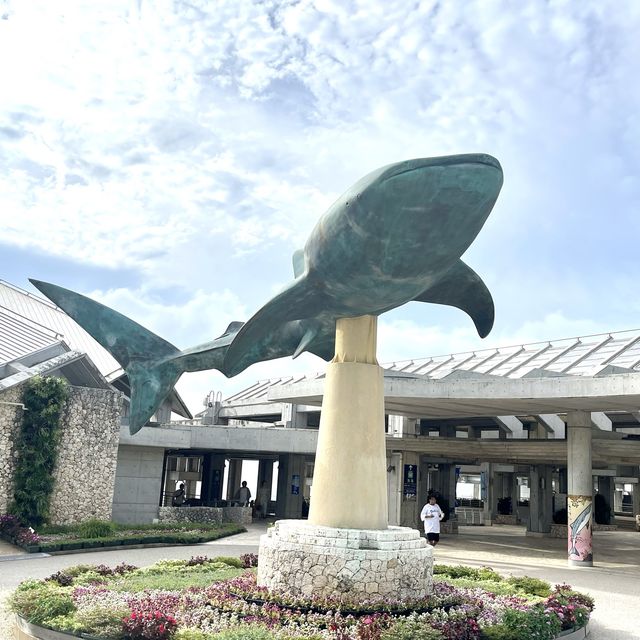 沖繩海洋博公園-十多個景點玩足全日