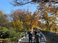 Hiking to Namsan Tower 🗺️🗼