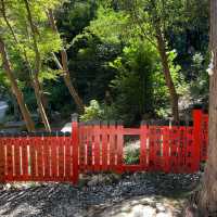 【京都府】日本でここだけ！髪を護る御髪神社へ