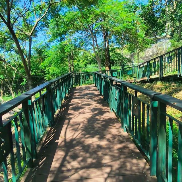 岡山之眼登高遠眺水庫美景