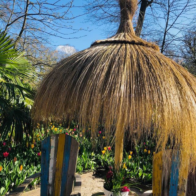 荷蘭🇳🇱盧瑟Lisse•風車景觀區🎡🛶Keukenhof Garden庫肯霍夫花園 