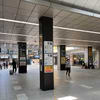 🇯🇵 Nippori Station Interchange 