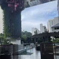 [New Hotel] Pan Pacific Orchard Singapore