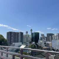 【大阪府】大阪市内唯一の天然の滝「玉出の瀧」