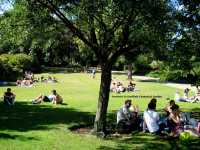 Discover Botanical Gardens in Sheffield🇬🇧