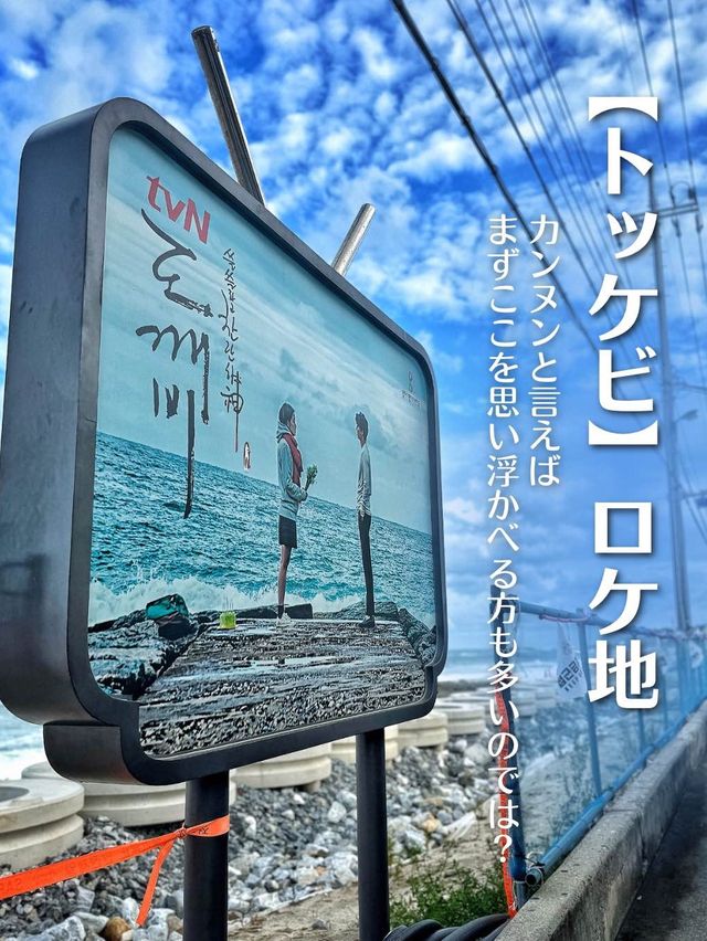 【韓国地方旅】江陵よくばりバスツアー‼️感動のロケ地巡り！グルメもカフェも！