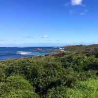 Flinders Bay - Beautiful beach 