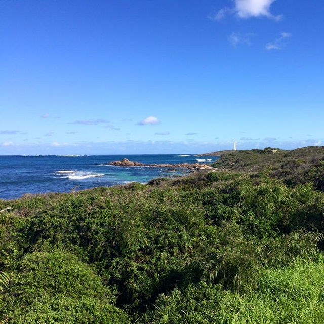 Flinders Bay - Beautiful beach 