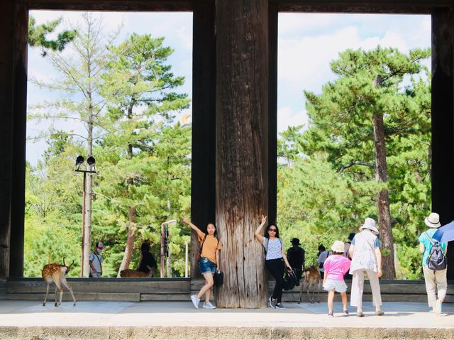 Feeding the deer in Nara 