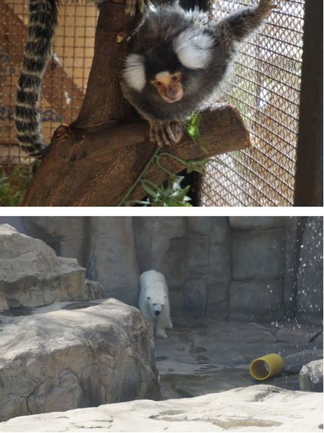 阪急電車の駅からすぐ！王子動物園