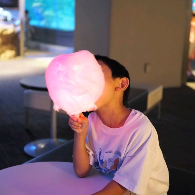 すみだ水族館