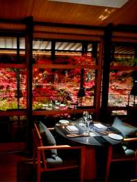 【ROKU京都】京都で最大の屋外温泉プール&紅葉が美しい日本庭園