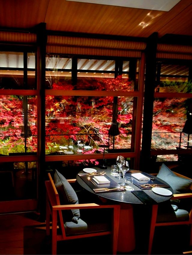 【ROKU京都】京都で最大の屋外温泉プール&紅葉が美しい日本庭園