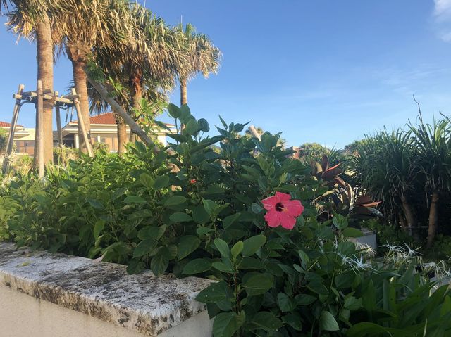 瀬良垣絶景ホテル