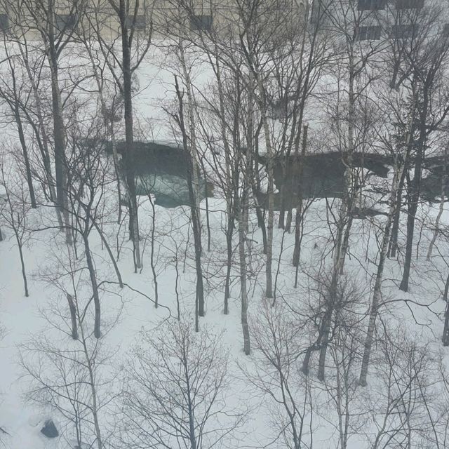 北海道境內神仙的遊憩所－層雲峽